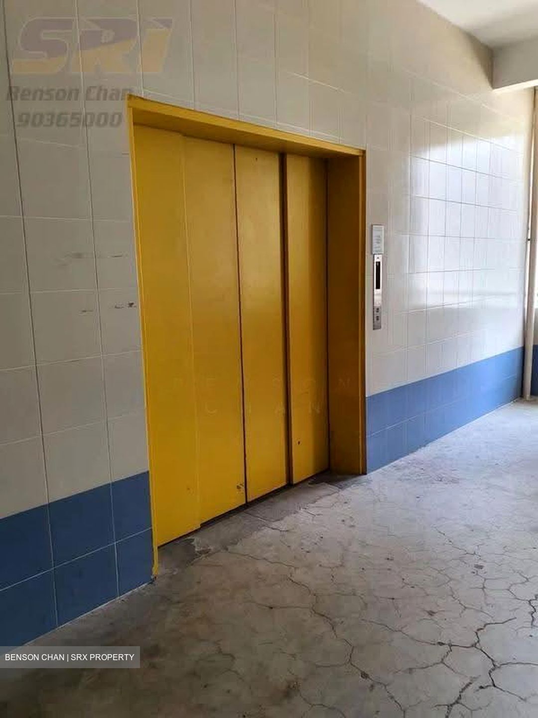 Perfect One (D13), Warehouse #639394031
